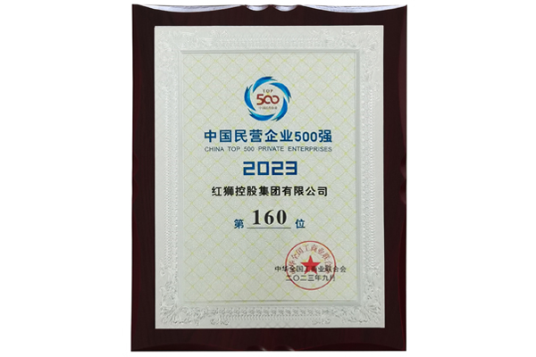 2023中國民營企業500強
